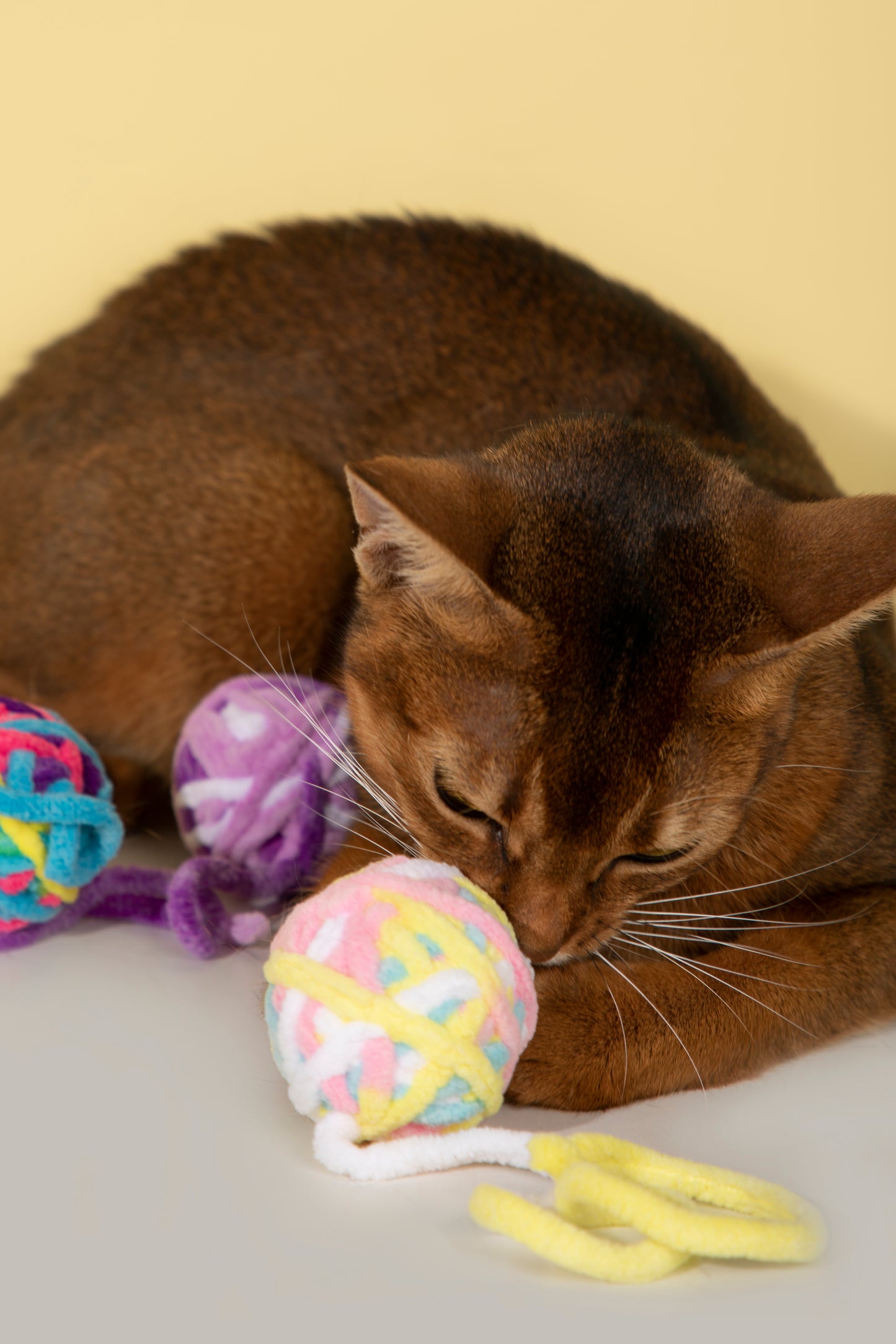Cat Rope Ball Toy – Assorted Colours