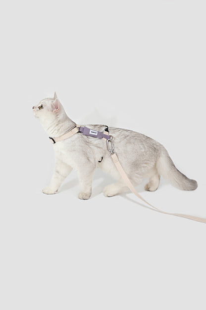 Valley Series H-Shaped Cat Harness Leash Set