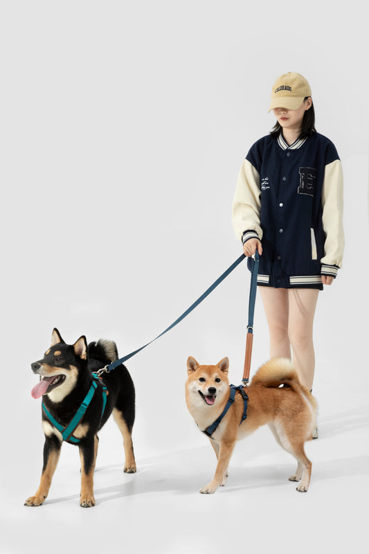 Bobo Series X-Style Dog Harness - Red