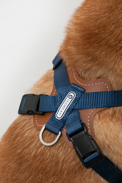 Bobo Series X-Style Dog Harness - Aden Green