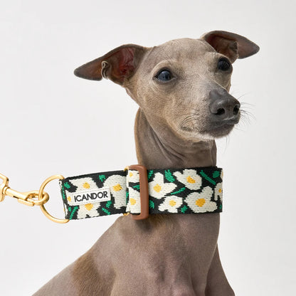iCANDOR Smooth Martingale Collar 38mm
