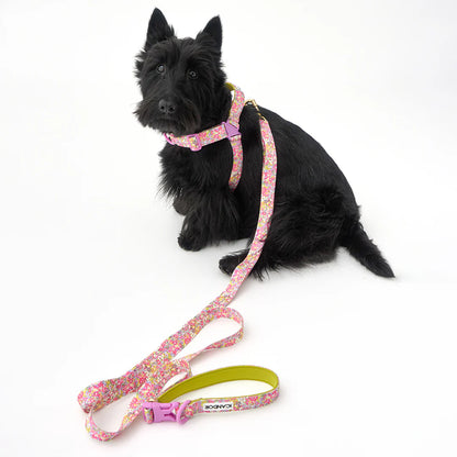 iCANDOR Gentle Leash Bolt 2m/2.5cm