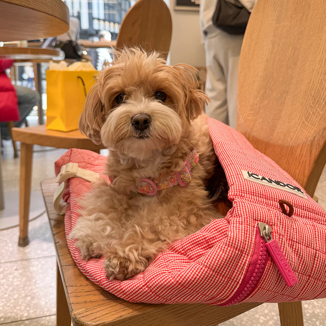 iCANDOR Dumpling Bag_Iconic Red