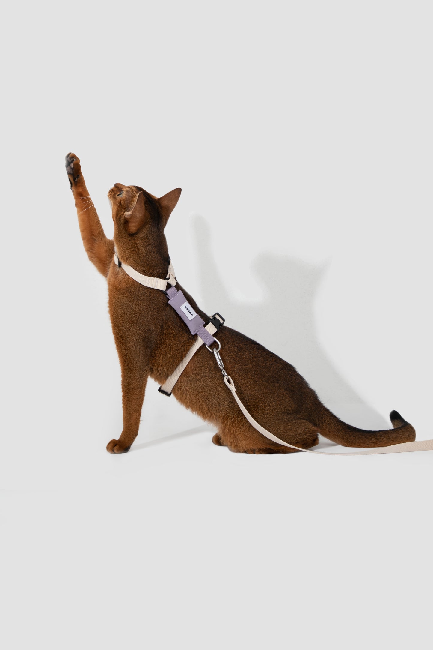 Valley Series H-Shaped Cat Harness Leash Set