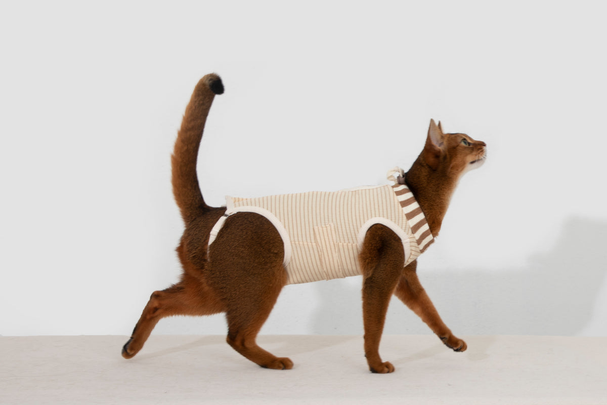 Hidream Cat Anti-Escape Recovery Suit