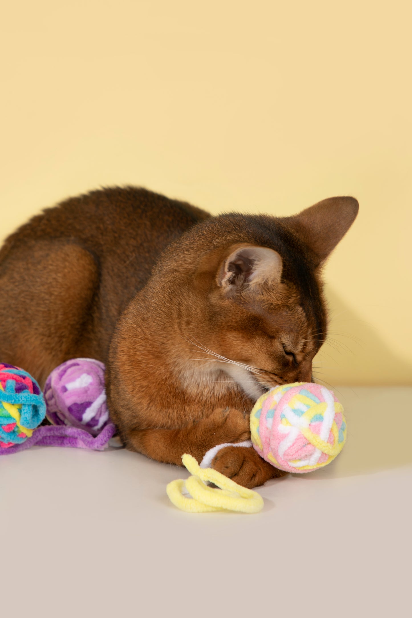 Cat Rope Ball Toy – Assorted Colours