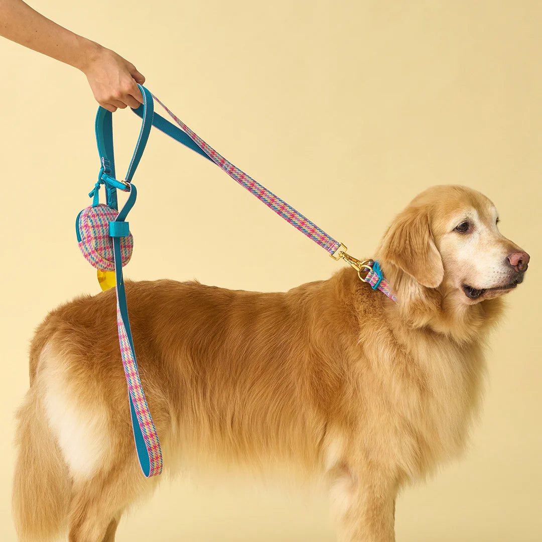 iCANDOR Gentle Leash Bolt 2m/2.5cm