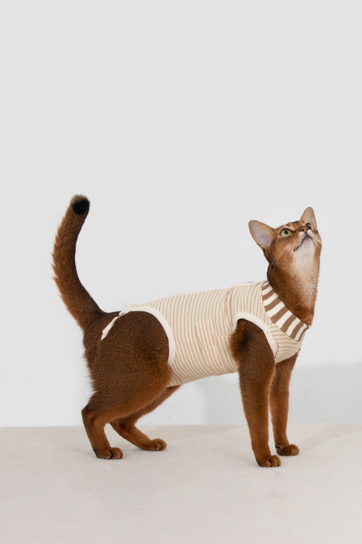 Hidream Cat Anti-Escape Recovery Suit