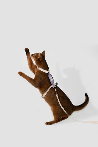 Valley Series H-Shaped Cat Harness Leash Set