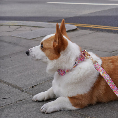 iCANDOR Gentle Collar Dual
