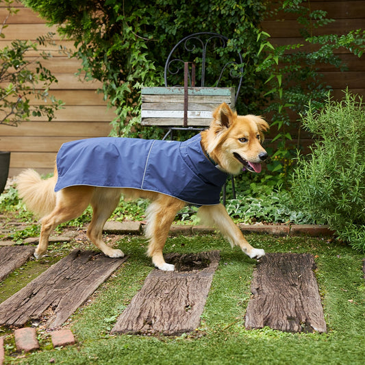 Mandarine Brothers Waterproof Dog Raincoat
