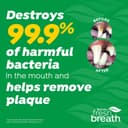 TropiClean Fresh Breath Enticers Smoked Beef BrisketOral Care Kit