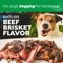 TropiClean Fresh Breath Enticers Smoked Beef BrisketOral Care Kit