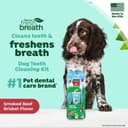 TropiClean Fresh Breath Enticers Smoked Beef BrisketOral Care Kit