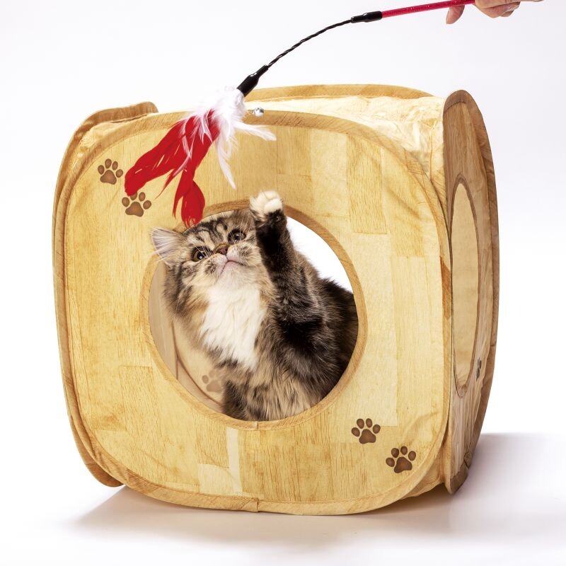 necoichi Cat Play Cube