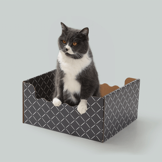 Woodtone Cat Scratcher Box – Includes 3 Scratch Pads