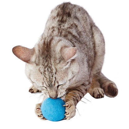 Petio Blue Wool Cat Ball