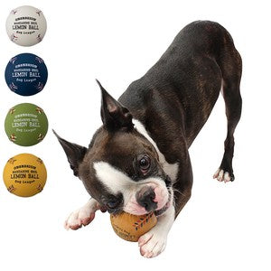 Mandarine Brothers Latex Lemon Baseball Dog Toy