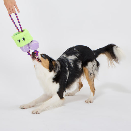 Mandarine Brothers PARI-PARI BOOSTER Dog Toy