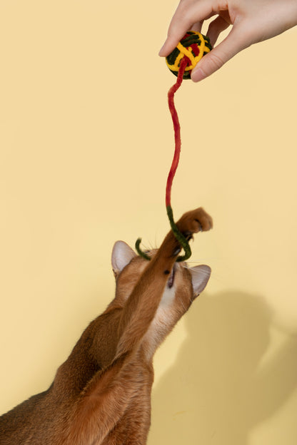Cat Rope Ball Toy – Assorted Colours