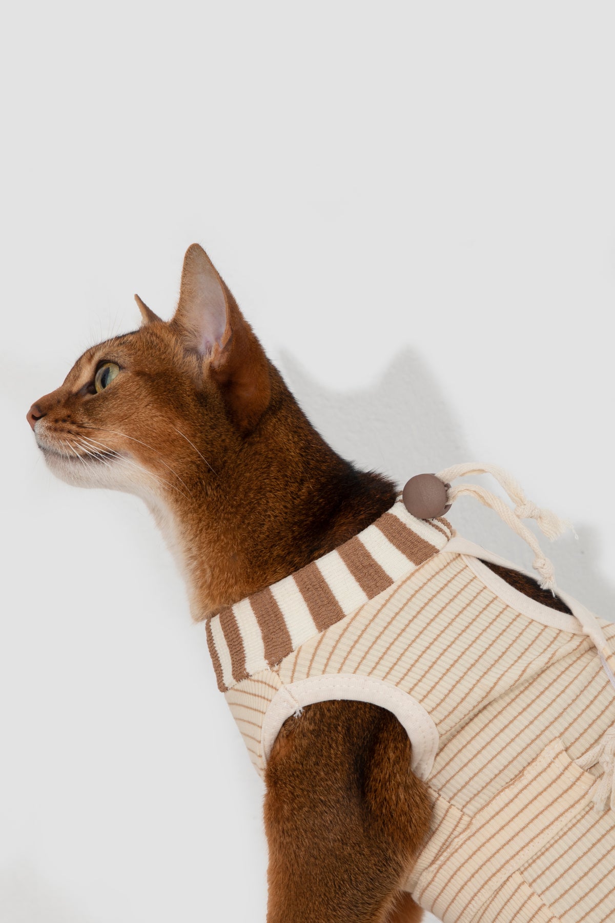 Hidream Cat Anti-Escape Recovery Suit