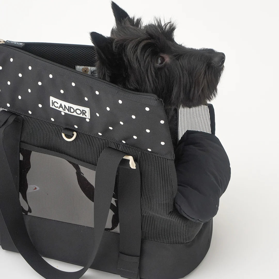 iCANDOR Brisbane Bag_Capri Black