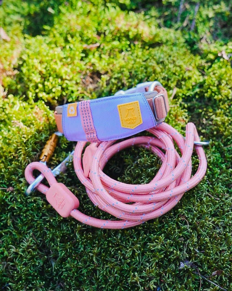 Alpha 360 Dog Collar Recycled (RPET)