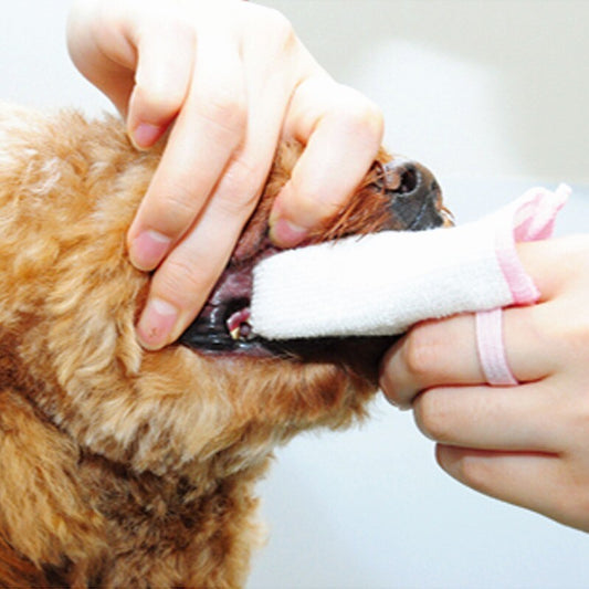 Taurus Dental Care Finger Toothbrush Finger-Cot  – 2 Pack