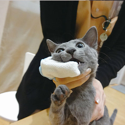 Taurus Dental Care Finger Toothbrush Finger-Cot  – 2 Pack