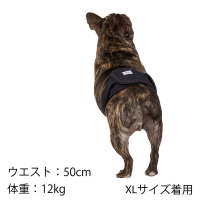 Mandarine Brothers Dog Belly Bands