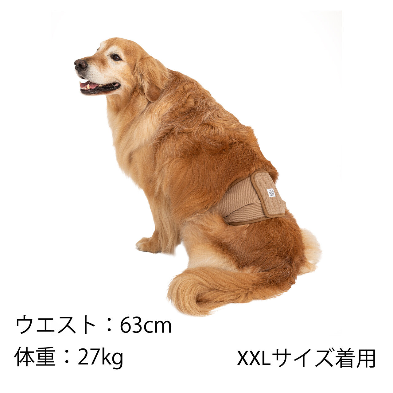 Mandarine Brothers Dog Belly Bands