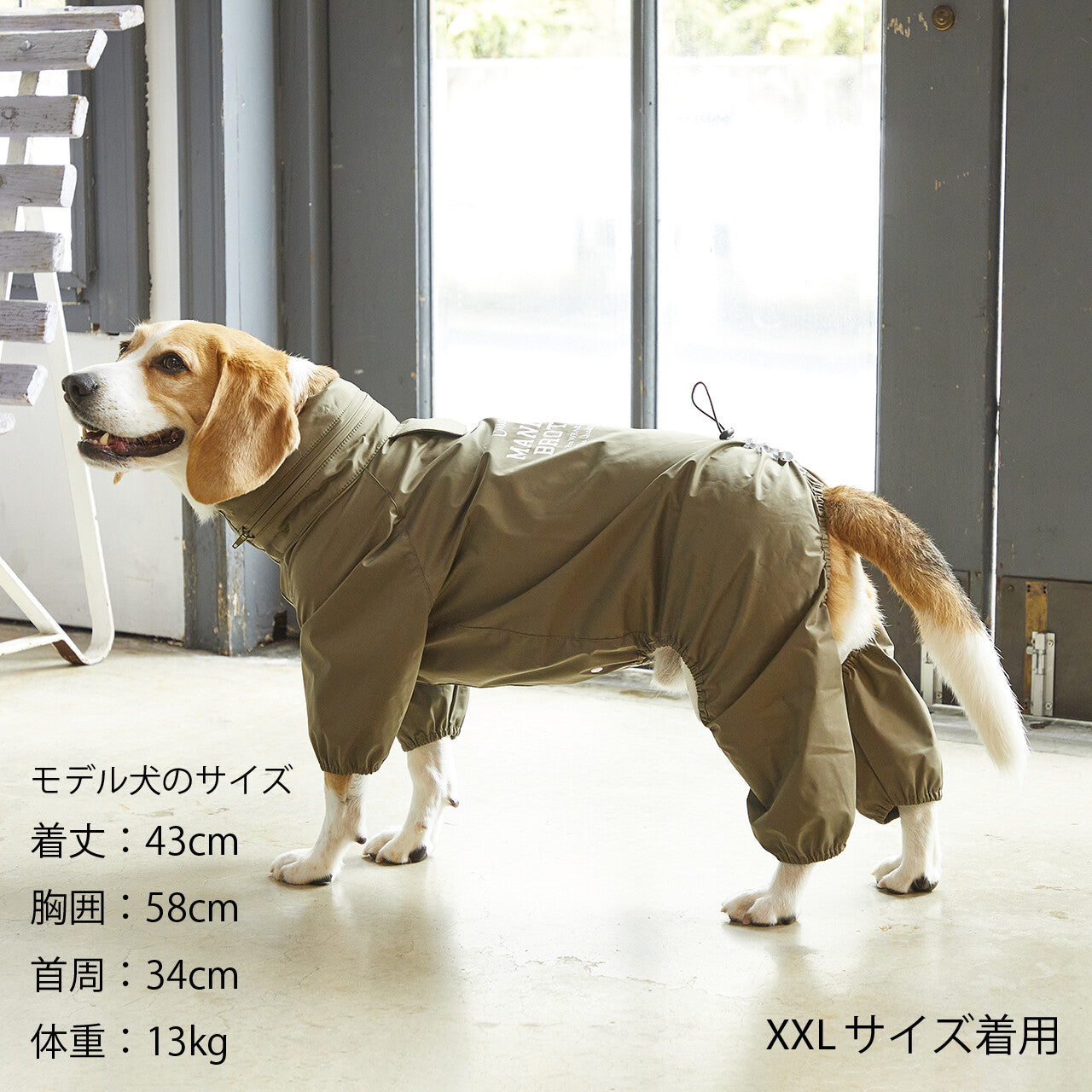 Mandarine Brothers Waterproof Full-Coverage Hooded Dog Raincoat