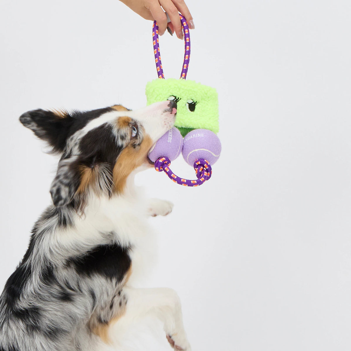 Mandarine Brothers PARI-PARI BOOSTER Dog Toy