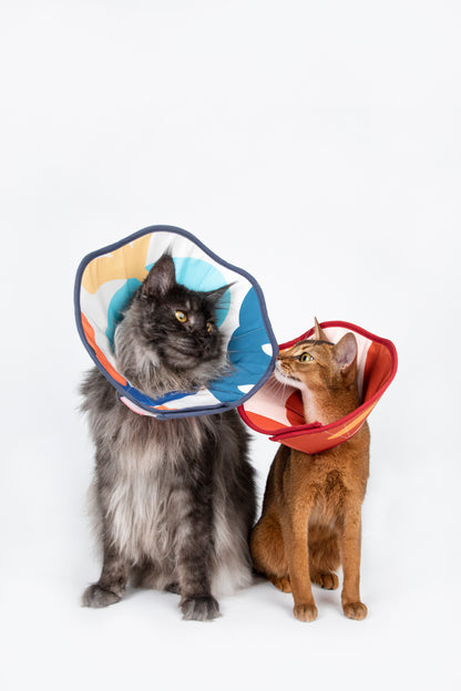 Hidream Soft Pet Recovery Collar/Elizabeth Collar/Dog Cone