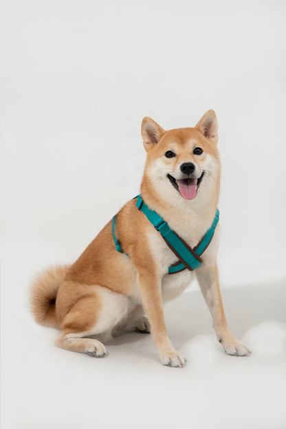 Bobo Series X-Style Dog Harness - Aden Green