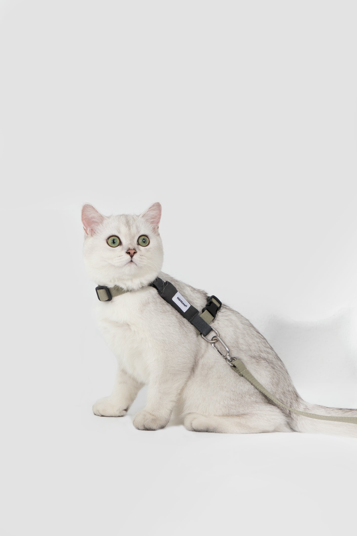 Valley Series H-Shaped Cat Harness Leash Set