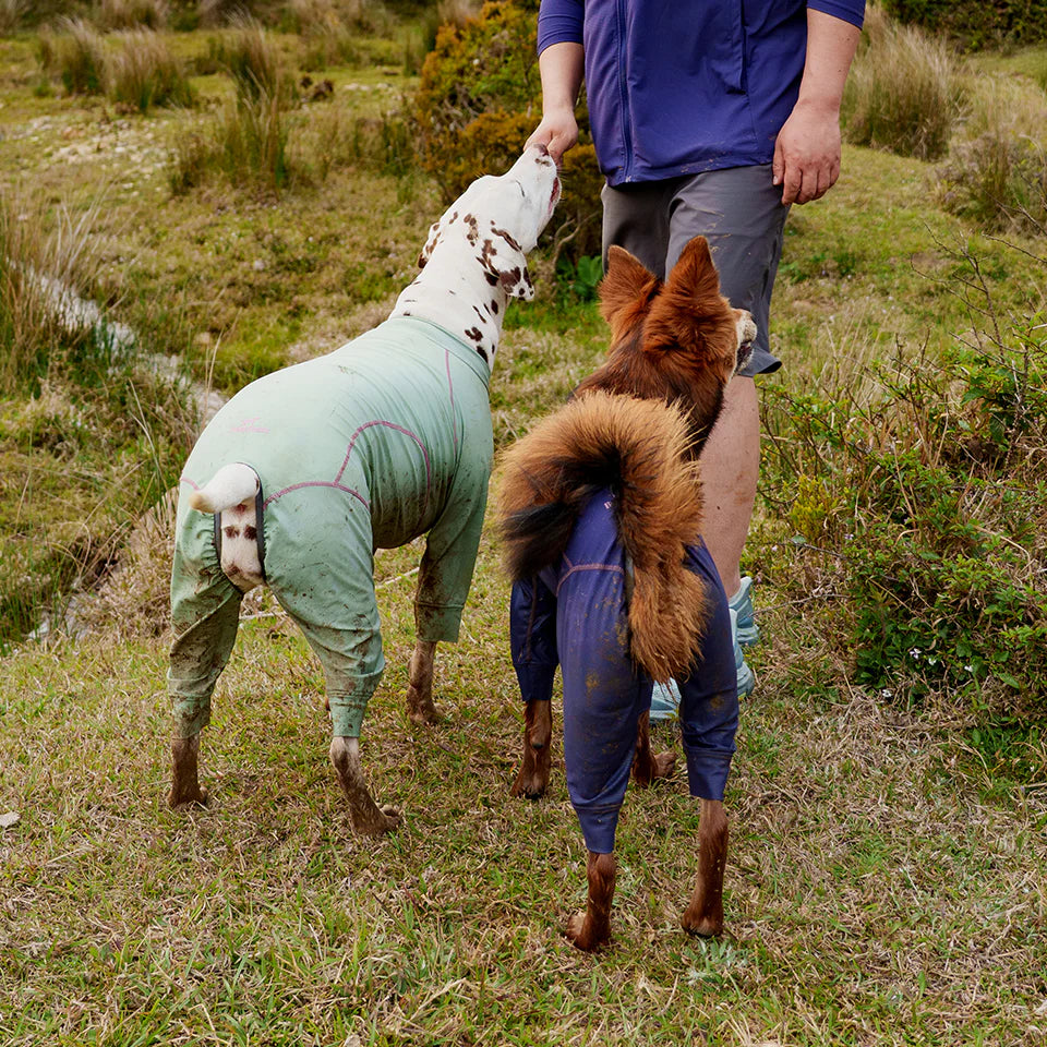 BlackDoggy All-Round Cooling Jacket 25