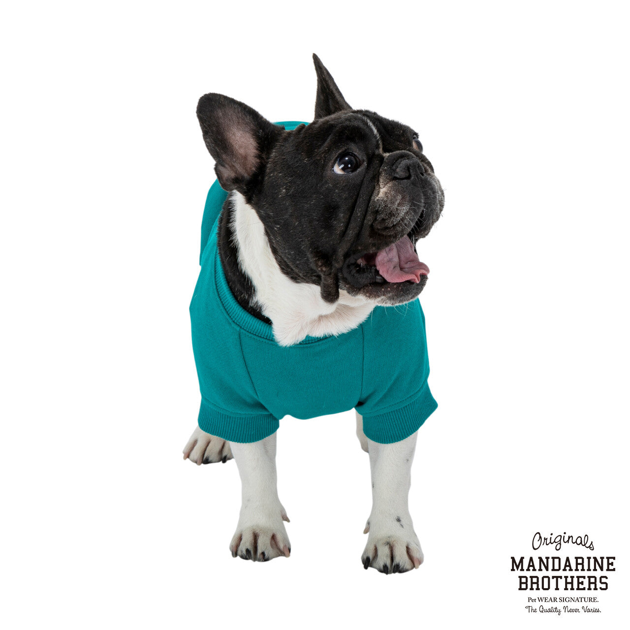 Mandarine Brothers Side Panel Sweat - Miniature Dachshund Size