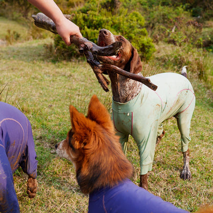 BlackDoggy All-Round Cooling Jacket 25