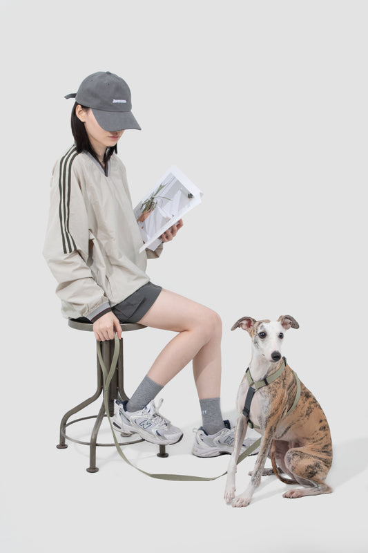 Valley Series H-Style Dog Harness Dog Leash Set - Green