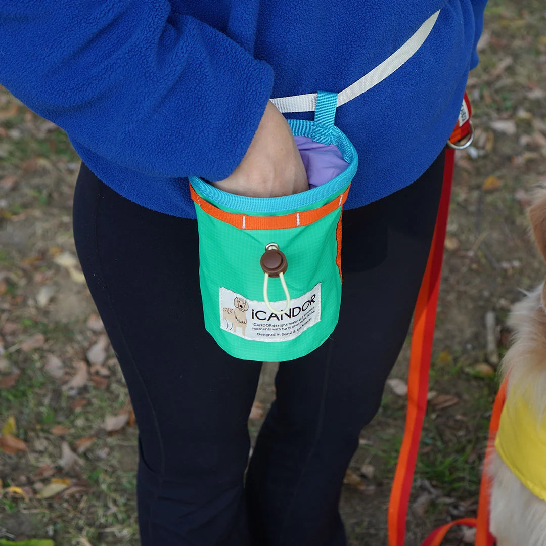 iCandor Munchie Minder Treat Pouch _Cool Green