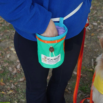 iCandor Munchie Minder Treat Pouch _Cool Green