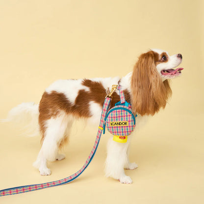 iCANDOR Gentle Leash 1.6m