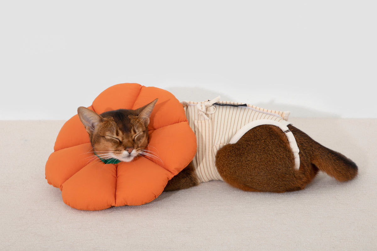 Hidream Cat Anti-Escape Recovery Suit