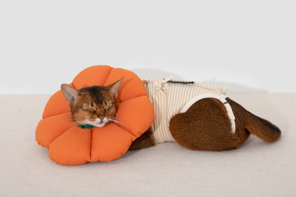 Hidream Cat Anti-Escape Recovery Suit