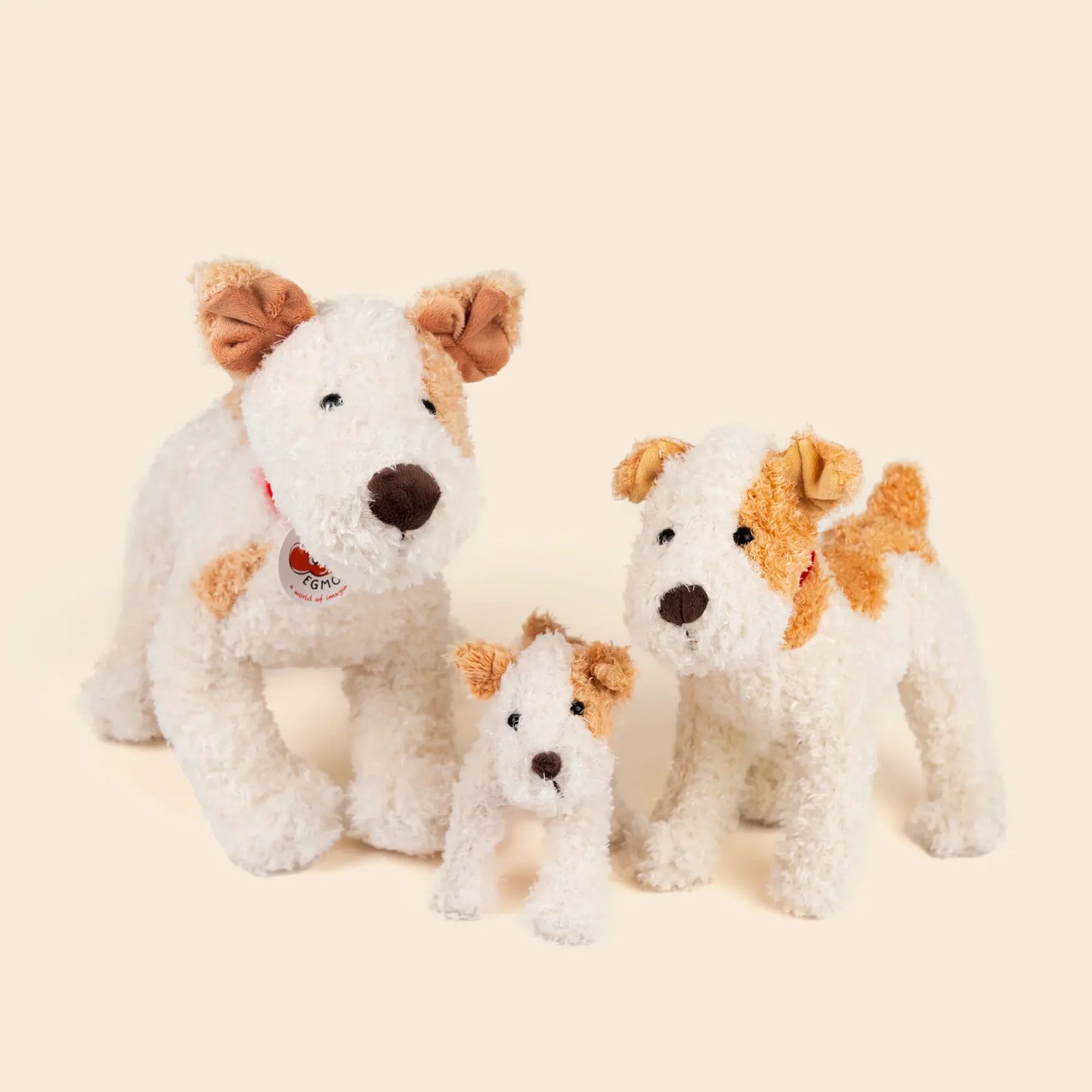 Eliot the Jack Russell