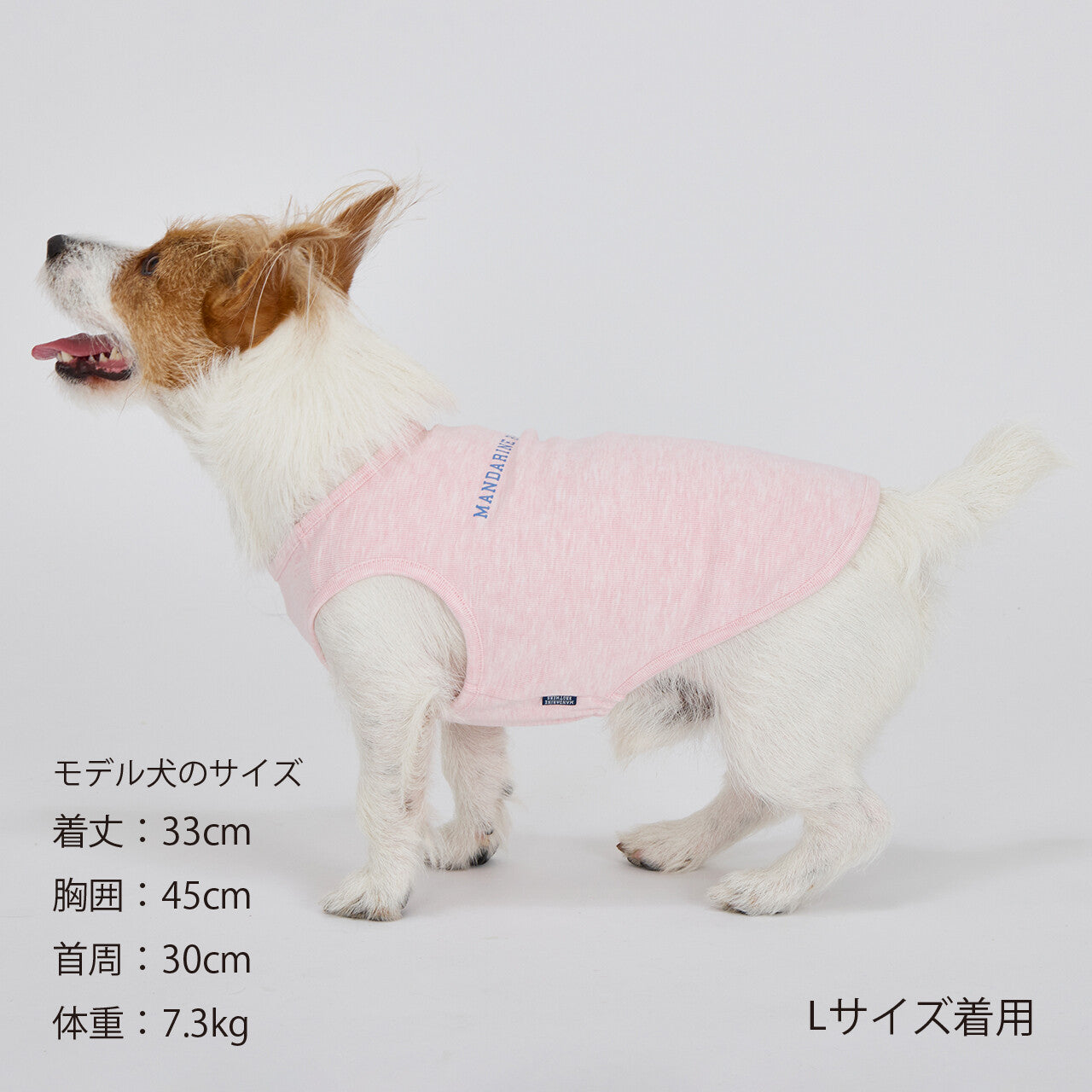 Mandarine Brothers Tender Care Dog T Shirt