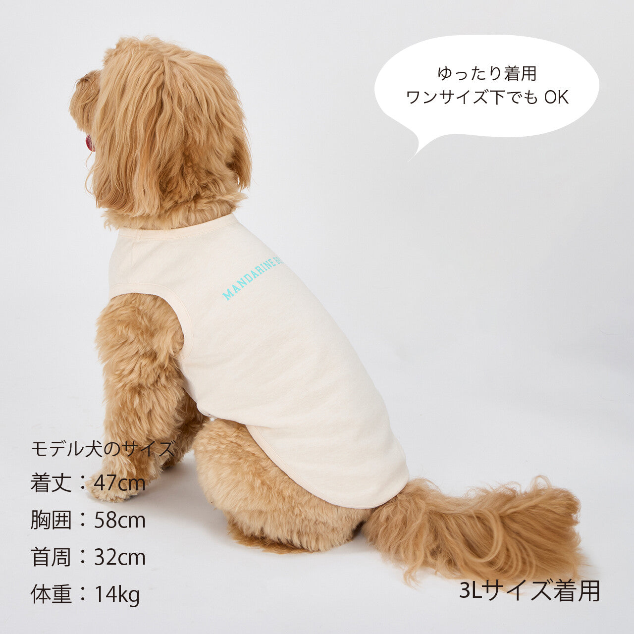 Mandarine Brothers Tender Care Dog T Shirt