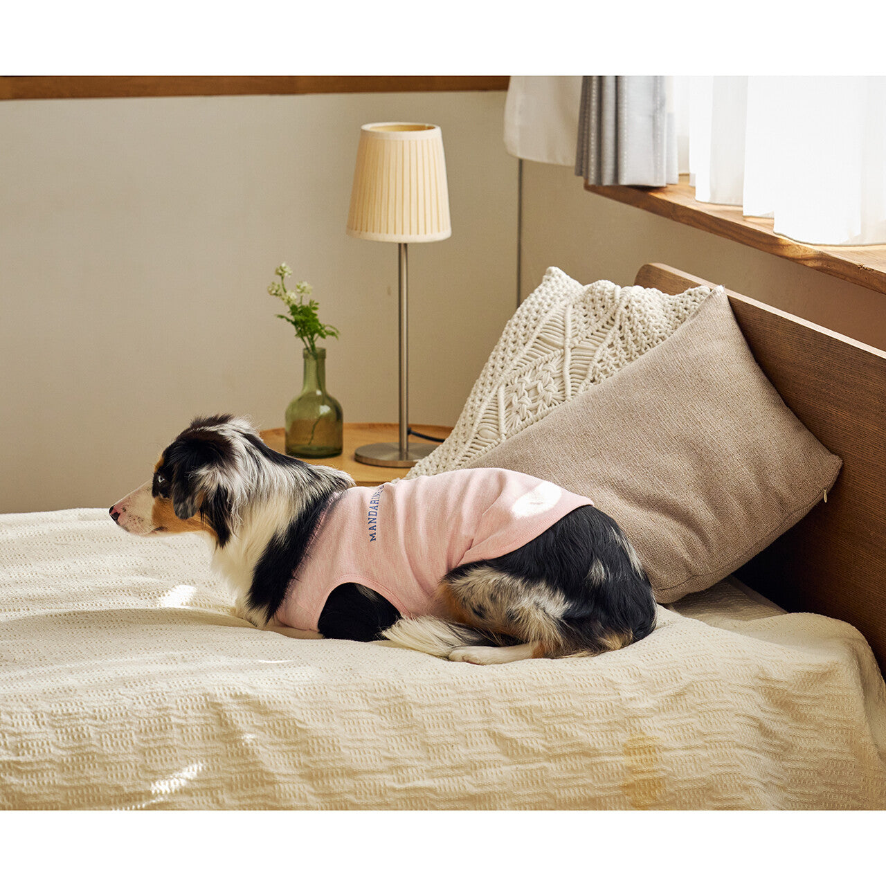 Mandarine Brothers Tender Care Dog T Shirt