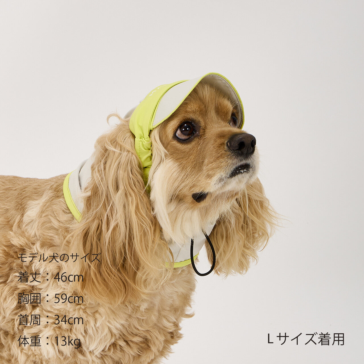 Mandarine Brothers UV Protection Snood for Dogs / UV Care